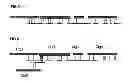 Fig. 05 - NOVEL GENOME SEQUENCING STRATEGIES