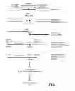 Fig. 02 - METHOD OF DETERMINING CHROMATIN STRUCTURE