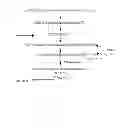 Fig. 71 - DESIGN, SYNTHESIS AND ASSEMBLY OF SYNTHETIC NUCLEIC ACIDS