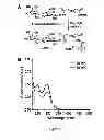 Fig. 07 - Pathogen detection