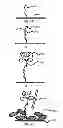 Fig. 07 - PATTERNED DEVICES AND METHODS FOR DETECTING ANALYTES