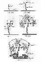 Fig. 08 - PATTERNED DEVICES AND METHODS FOR DETECTING ANALYTES