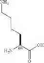 Fig. 07 - Beta-arrestin effectors and compositions and methods of use thereof
