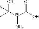 Fig. 24 - Beta-arrestin effectors and compositions and methods of use thereof