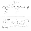Fig. 06 - CYCLODEXTRIN-BASED POLYMERS FOR THERAPEUTIC DELIVERY