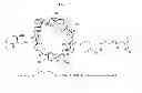 Fig. 08 - CYCLODEXTRIN-BASED POLYMERS FOR THERAPEUTIC DELIVERY