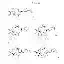 Fig. 20 - CYCLODEXTRIN-BASED POLYMERS FOR THERAPEUTIC DELIVERY