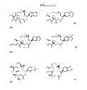 Fig. 22 - CYCLODEXTRIN-BASED POLYMERS FOR THERAPEUTIC DELIVERY