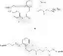 Fig. 490 - CYCLODEXTRIN-BASED POLYMERS FOR THERAPEUTIC DELIVERY