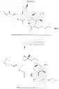 Fig. 508 - CYCLODEXTRIN-BASED POLYMERS FOR THERAPEUTIC DELIVERY