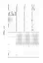 Fig. 70 - CYCLODEXTRIN-BASED POLYMERS FOR THERAPEUTIC DELIVERY