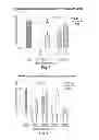 Fig. 07 - Methods for cardioprotection and cardioregeneration with dimers of EGF family ligands