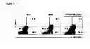 Fig. 08 - BNIP3 ISOFORMS AND METHODS OF USE