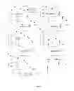 Fig. 06 - Peptides which have analgesic effects and which inhibit ASIC channels