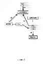 Fig. 02 - Compositions and methods useful in enhancement of memory