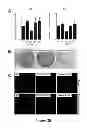 Fig. 32 - Methods and compositions inhibiting tumor cell proliferation