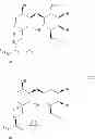 Fig. 22 - SYNTHETIC GLYCOAMINE COMPOUNDS