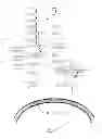 Fig. 02 - -acetyl mannosamine as a therapeutic agent