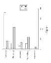 Fig. 02 - Composition for Skin Treatment