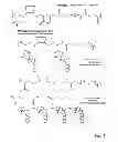 Fig. 02 - Cyclodextrin-based polymers for therapeutics delivery
