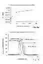 Fig. 05 - Cyclodextrin-based polymers for therapeutics delivery