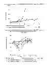 Fig. 08 - Cyclodextrin-based polymers for therapeutics delivery