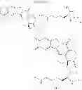 Fig. 45 - Cyclodextrin-based polymers for therapeutics delivery