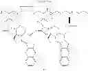 Fig. 64 - Cyclodextrin-based polymers for therapeutics delivery