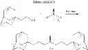 Fig. 69 - Cyclodextrin-based polymers for therapeutics delivery