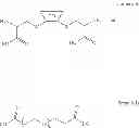Fig. 77 - CYCLODEXTRIN-BASED POLYMERS FOR THERAPEUTIC DELIVERY