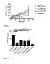 Fig. 09 - Use of cyclodextrin for treatment and prevention of bronchial inflammatory diseases