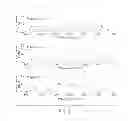 Fig. 07 - POLYMERS FOR BIOMATERIALS AND THERAPEUTICS