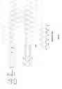 Fig. 03 - Genes for biosynthesis of tetracycline compounds and uses thereof