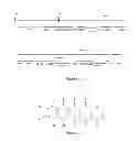 Fig. 04 - Genes for biosynthesis of tetracycline compounds and uses thereof