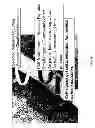 Fig. 28 - Methods of nourishing animals