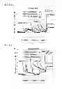 Fig. 37 - Methods of nourishing animals