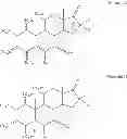 Fig. 07 - Topical steroidal formulations