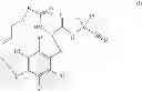 Fig. 04 - Cyclic amides