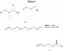 Fig. 06 - Cyclic amides