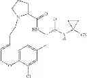 Fig. 50 - Cyclic amides