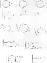 Fig. 13 - Compound of a reverse-turn mimetic and a production method and use therefor