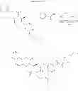 Fig. 350 - Compound of a reverse-turn mimetic and a production method and use therefor