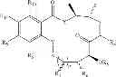 Fig. 08 - MACROCYCLIC COMPOUNDS USEFUL AS PHARMACEUTICALS