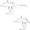 Fig. 239 - MACROCYCLIC COMPOUNDS USEFUL AS PHARMACEUTICALS