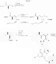 Fig. 28 - MACROCYCLIC COMPOUNDS USEFUL AS PHARMACEUTICALS