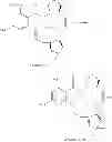 Fig. 286 - MACROCYCLIC COMPOUNDS USEFUL AS PHARMACEUTICALS