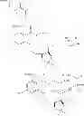 Fig. 294 - MACROCYCLIC COMPOUNDS USEFUL AS PHARMACEUTICALS