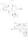 Fig. 313 - MACROCYCLIC COMPOUNDS USEFUL AS PHARMACEUTICALS