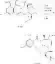 Fig. 337 - MACROCYCLIC COMPOUNDS USEFUL AS PHARMACEUTICALS