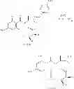 Fig. 340 - MACROCYCLIC COMPOUNDS USEFUL AS PHARMACEUTICALS